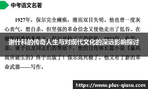谢什科的传奇人生与对现代文化的深远影响探讨